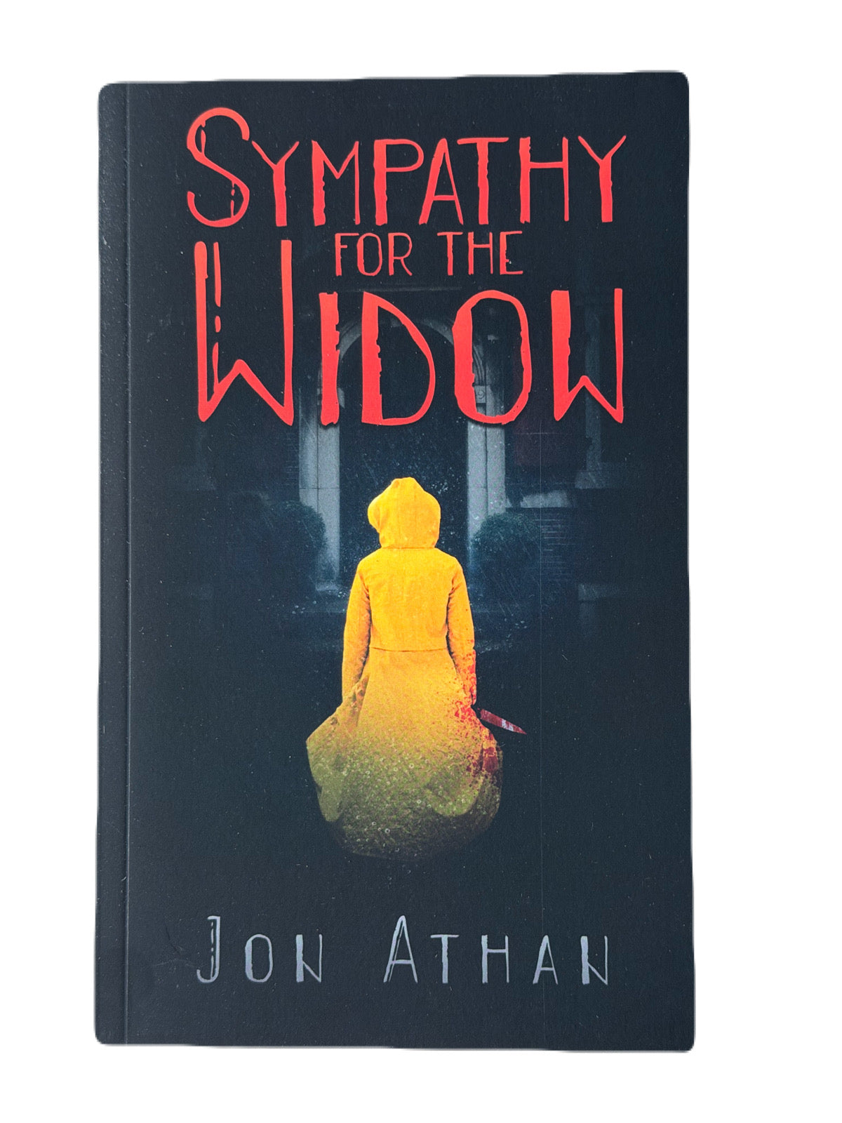 Sympathy for the Widow (Paperback)